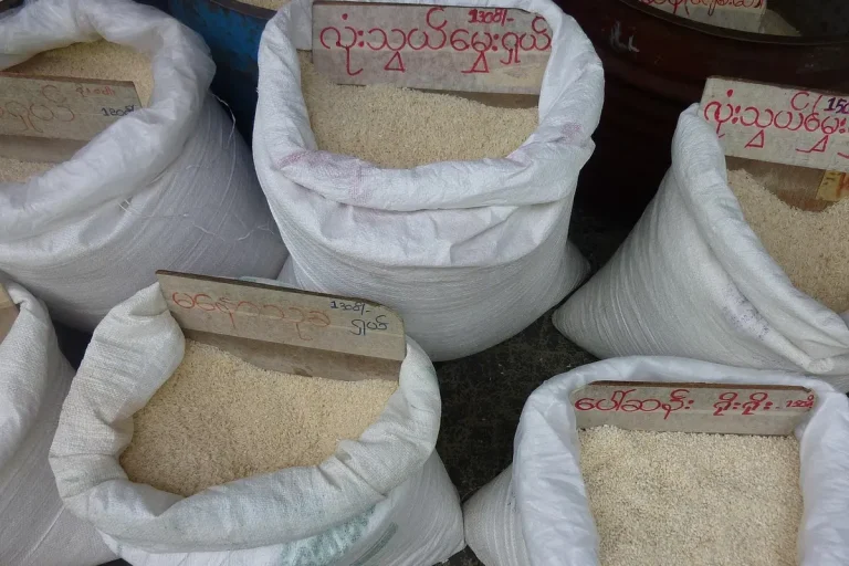 Achat riz en gros : prix du sac de 25 kg en 2026
